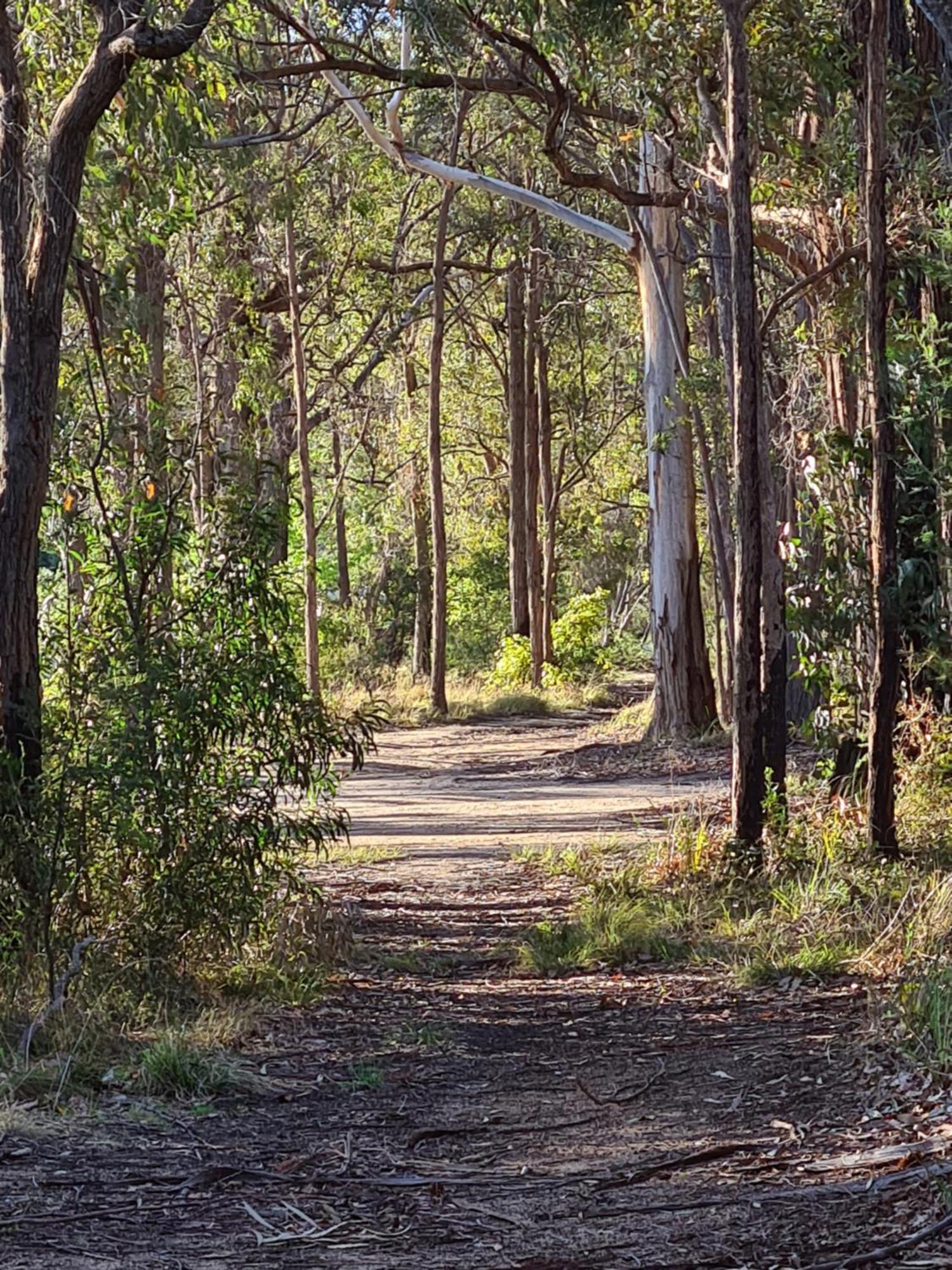 Mallacoota'S Shady Gully Caravan Park Ngoại thất bức ảnh