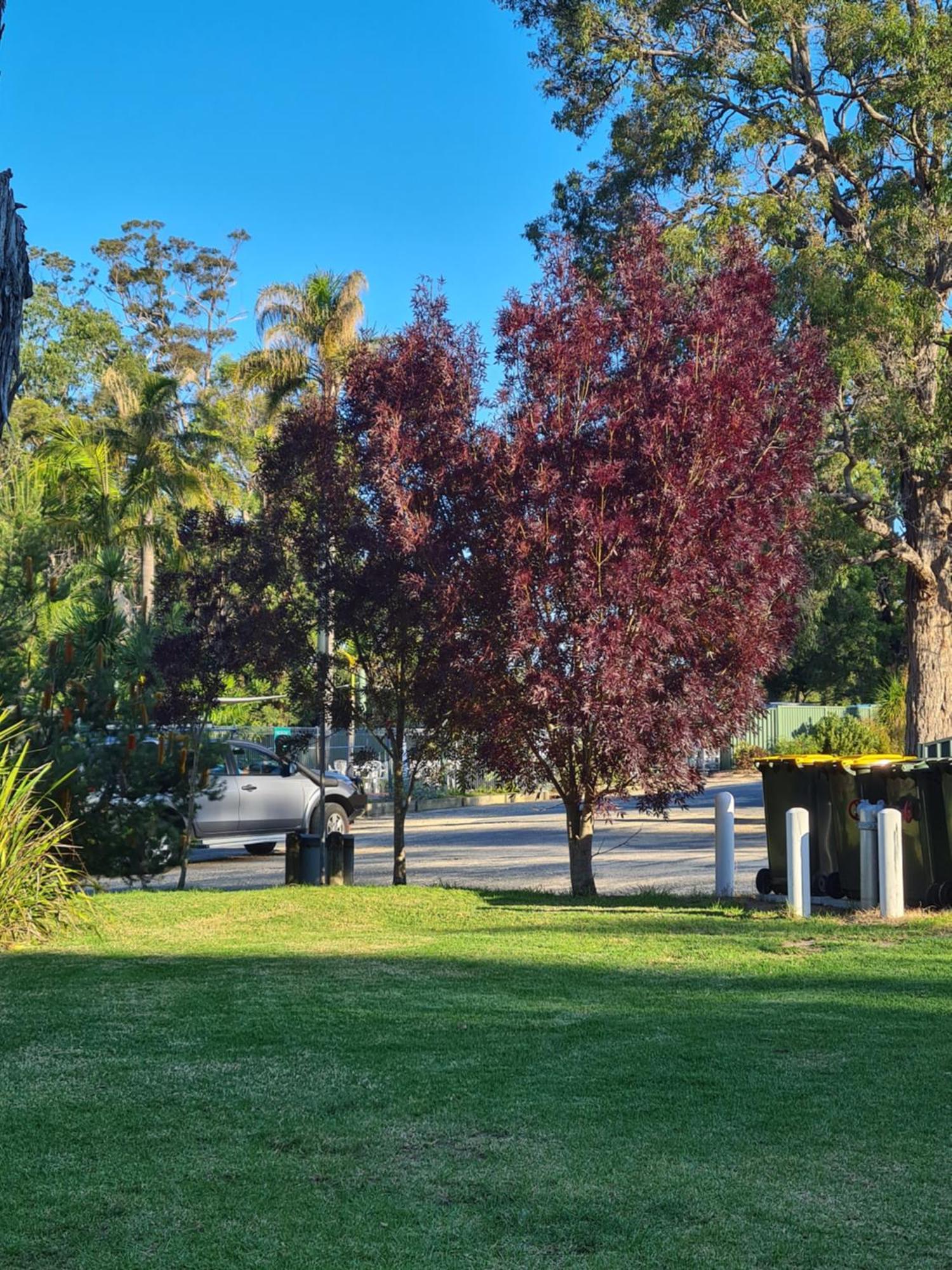 Mallacoota'S Shady Gully Caravan Park Ngoại thất bức ảnh