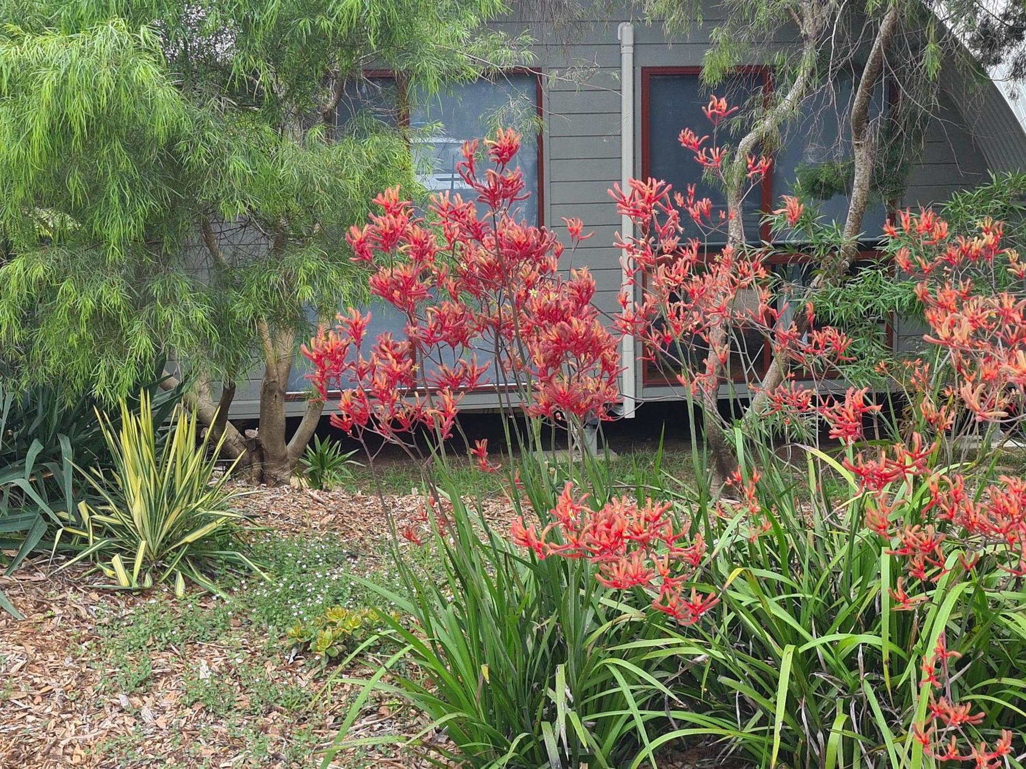 Mallacoota'S Shady Gully Caravan Park Ngoại thất bức ảnh